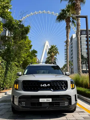 Kia Telluride SX, миниатюра 2