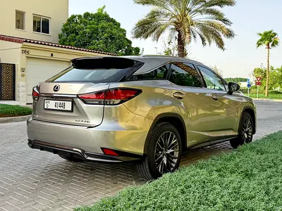 2020 Lexus RX-SERIES 照片 6