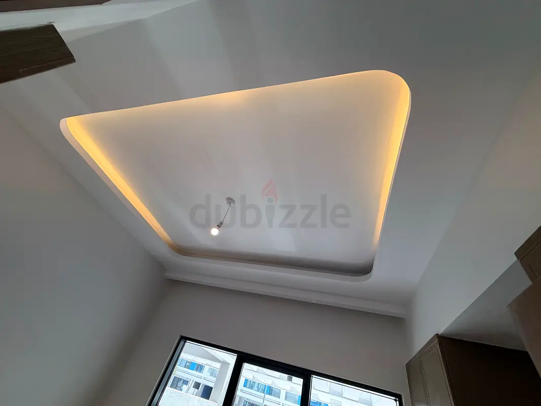 DPV_View_Image_2