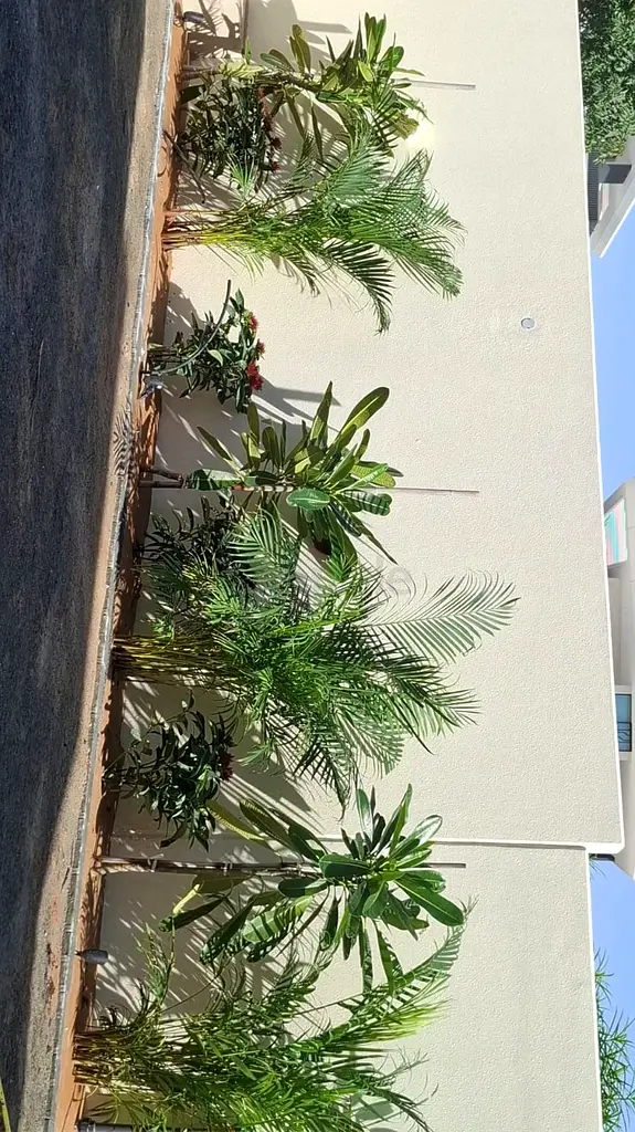 DPV_View_Image_1