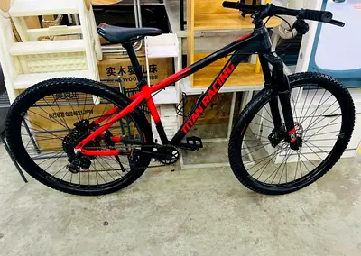 Mountain bike 12 speed