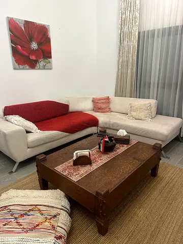L shape sofa ( THE ONE )