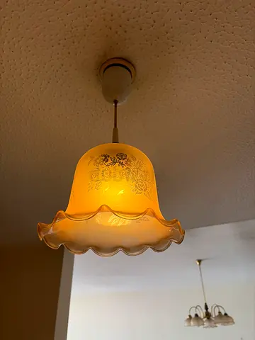 Vintage Floral Frosted Glass Wall Light