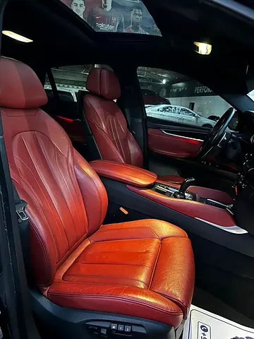 2015 BMW X6 photo 11