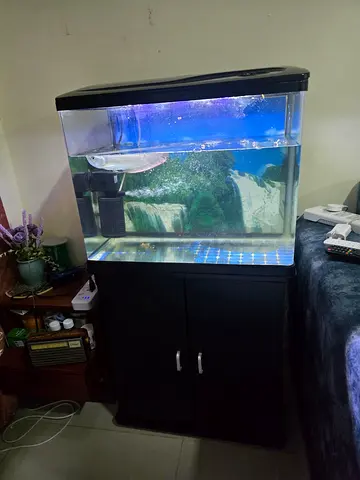 Aquarium