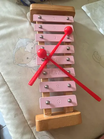 Toy