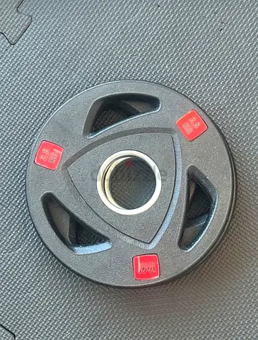 2 weights Plats 2.5kg from Yalla Home Gym