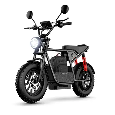 Windhorse D1 Electric Bike 750W 50KM Range 32KM Speed