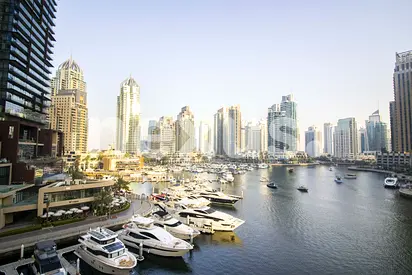 Marina| High End | Large Layout | Low Price