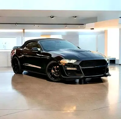 2022 Ford Mustang EcoBoost Convertible | GT Body Kit | American Specs