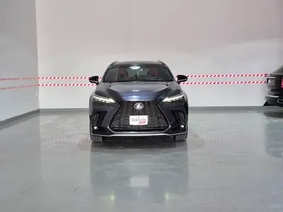 2026 Lexus NX-SERIES 照片 8