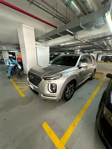 Hyundai Palisade Calligraphy, миниатюра 3