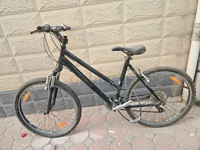 Trek large city bike