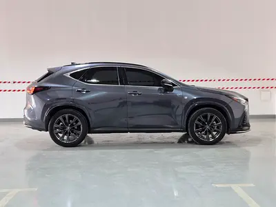 2026 Lexus NX-SERIES 照片 2