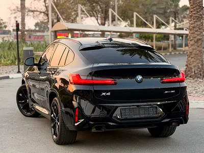 BMW X4 xDrive30i M Sport, миниатюра 11