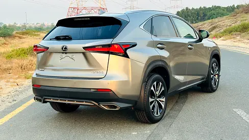 2018 Lexus NX-SERIES — фото 13