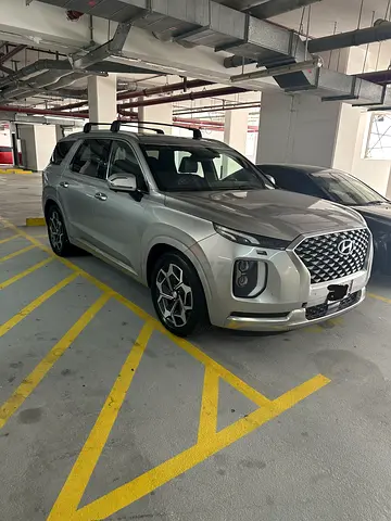 Hyundai Palisade Calligraphy, миниатюра 2