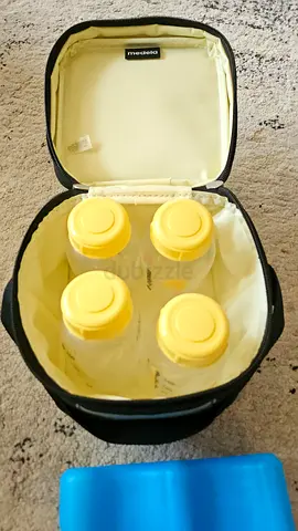 Medela cooler bag