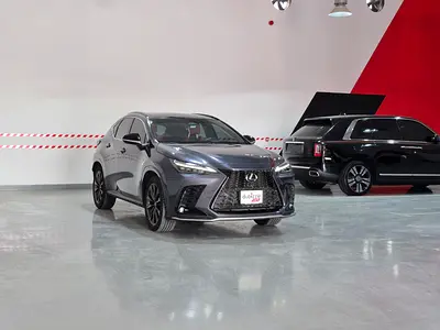 2026 Lexus NX-SERIES 照片 1