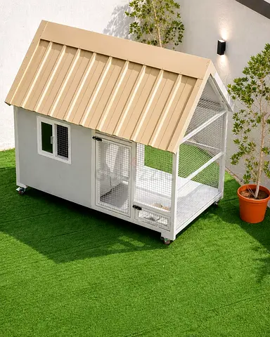 New Dog House with Roof