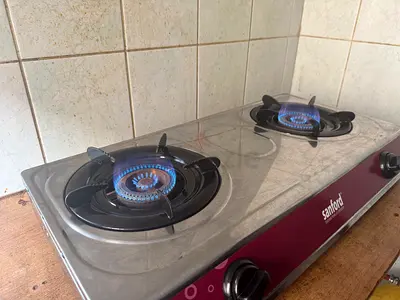 Gas stove