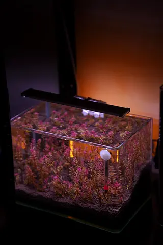 Aquarium