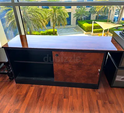 Low Wooden Storage Cabinet with Sliding Door - Dark Finish