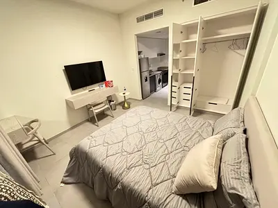 Luxury Furnished Apt Gym Parking Pool Lavish Amenities