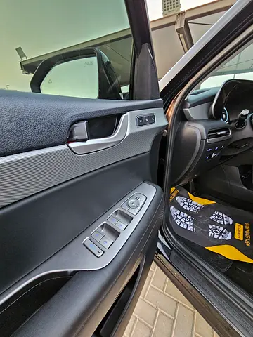 Hyundai Palisade SEL Premium, миниатюра 19