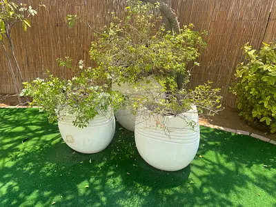Various large garden pots