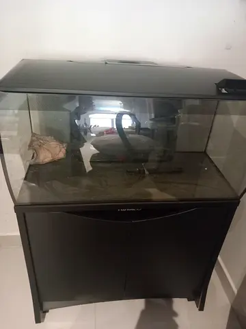 Fluval Aquarium and cupboard for sale