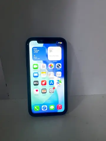Used Apple iPhone with case - good working condition