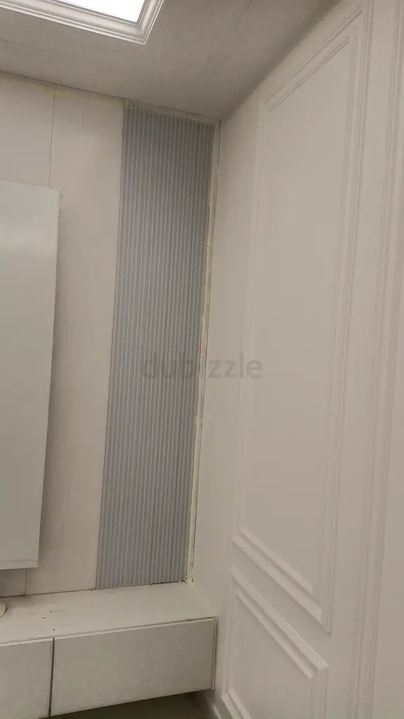 DPV_View_Image_1