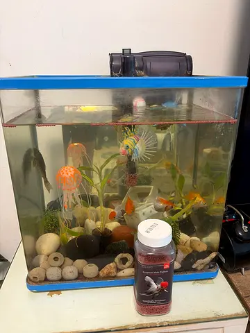 Aquarium with assorted fish, filter and food - ready to move