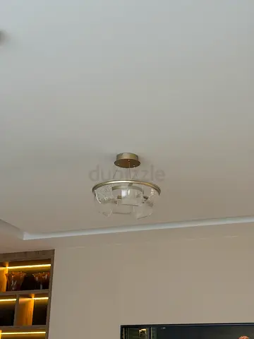 Lighting for ceiling