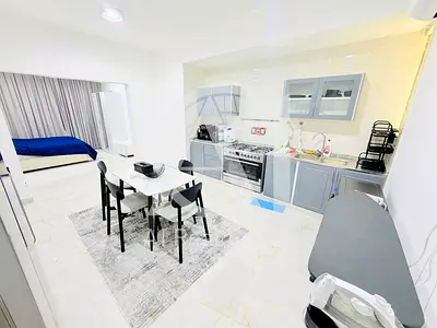 VVIP Studio-Like 1BR | 1 Hall | 1 Bath | Parking