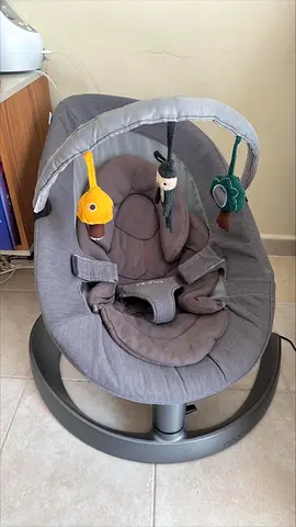 Nuna Baby Rocker