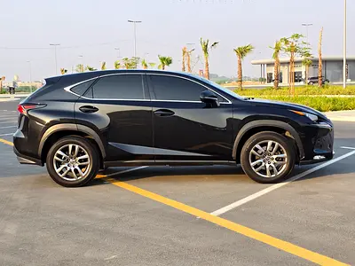 2019 Lexus NX-SERIES 照片 8