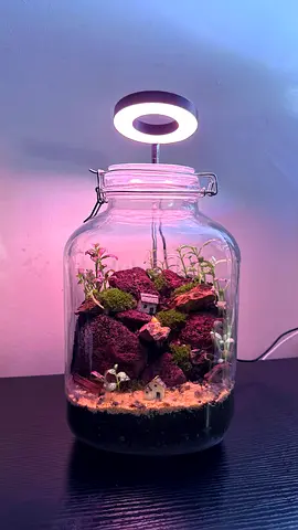 Handmade Glass Terrarium with LED Grow Light — Miniature Moss Garden