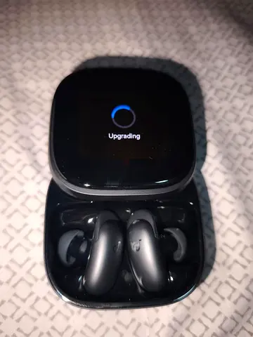 Used wireless noise-cancelling earbuds with charging case (upgrading shown)