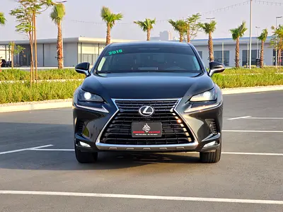 2019 Lexus NX-SERIES 照片 2