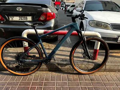 Carbon Hardtail Mountain Bike - Lightweight Frame, 29" Wheels, Good Condition