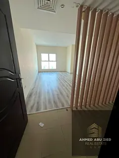 Central air conditioning - Built-in wardrobes - Maintenance paid for by the owner - Natural gas - La