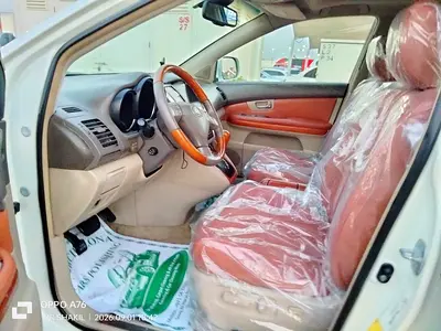 2008 Lexus RX-SERIES 照片 11
