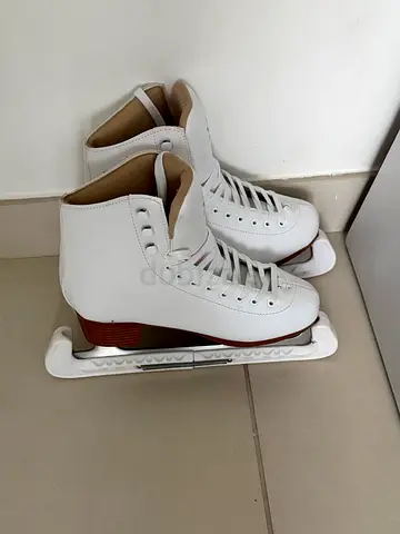 Ice Skates (37)