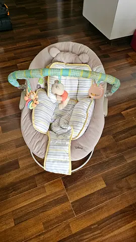 Disney Winnie the Pooh Baby Bouncer / Rocker with Toy Bar