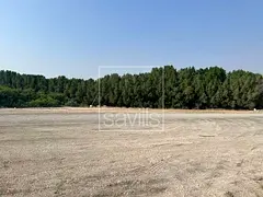 Prime Location| Land For Sale | Al Dhaid Road