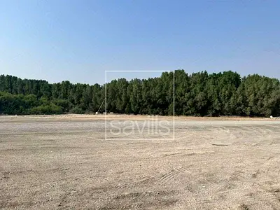 Prime Location| Land For Sale | Al Dhaid Road