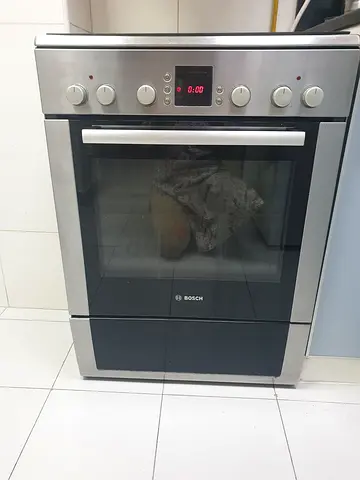 Gas stove  electric