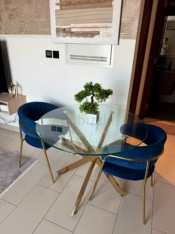 Set of 2 Blue Velvet Dining Chairs with Gold Legs - Light Use